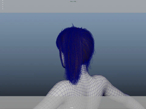 Female Hair 3D Model