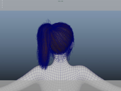 Female Hair 3D Модель