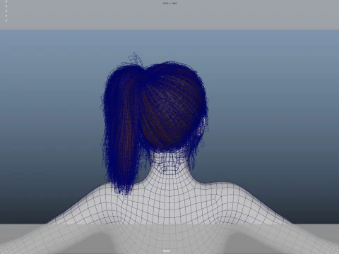Female Hair 3D Model