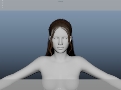 Female Hair 3D Модель