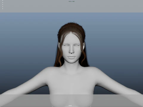 Female Hair 3D Model