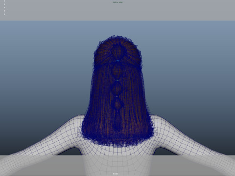 Female Hair 3D Модель