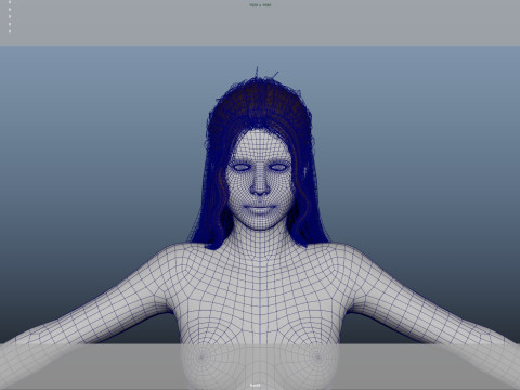 Female Hair 3D Модель