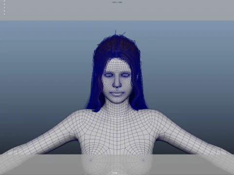 Female Hair 3D Model