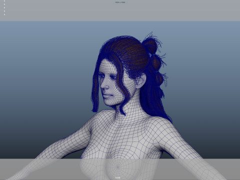 Female Hair 3D Модель