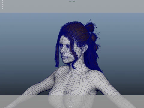 Female Hair 3D Model