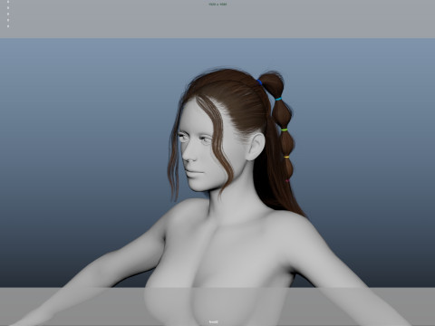 Female Hair 3D Модель
