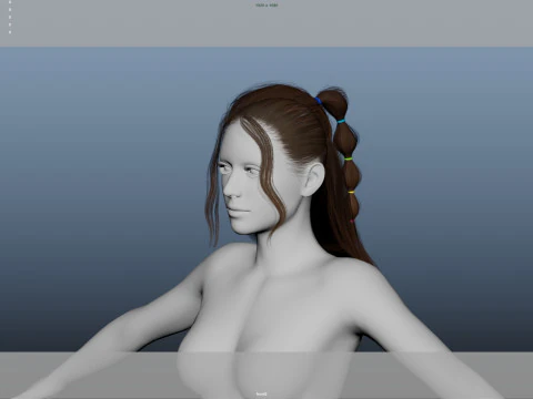 Female Hair 3D Model