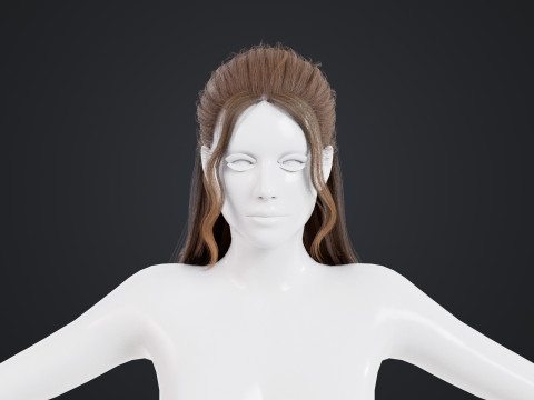 Female Hair 3D Модель