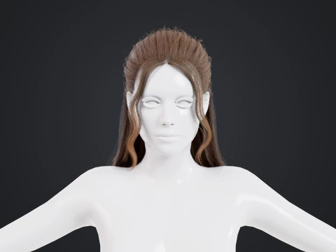 Female Hair 3D Model