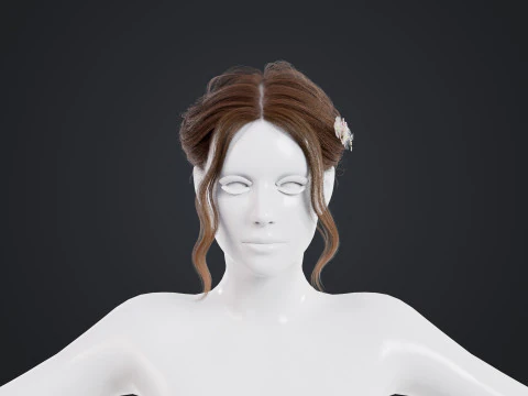 Female Hair 3D Model