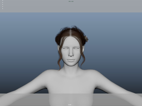 Female Hair Model 3D