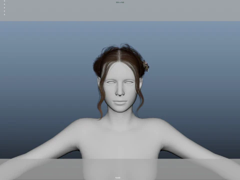 Female Hair 3D Model