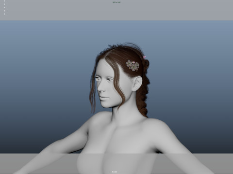 Female Hair Model 3D