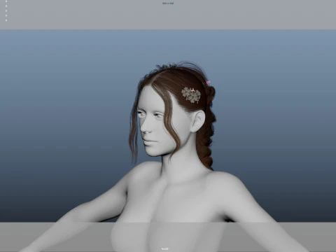 Female Hair 3D Model