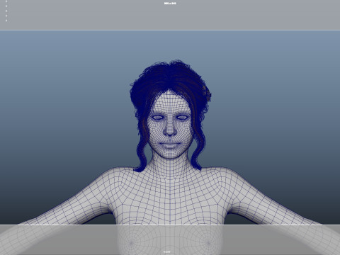 Female Hair Model 3D