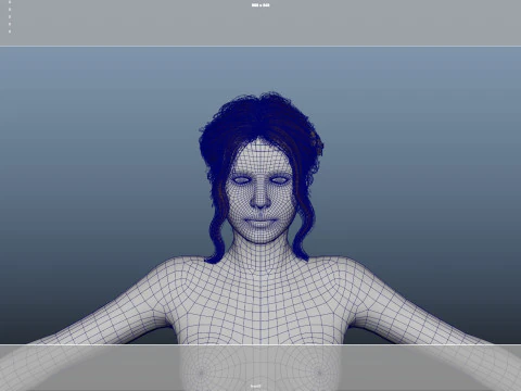 Female Hair 3D Model