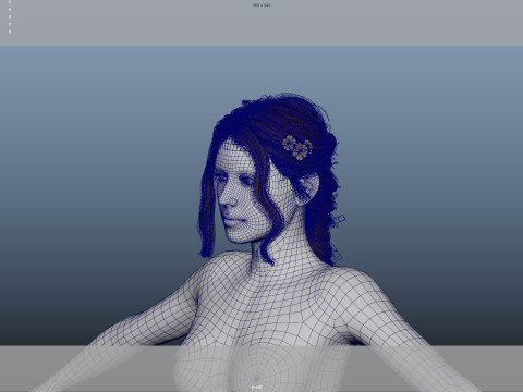 Female Hair Model 3D