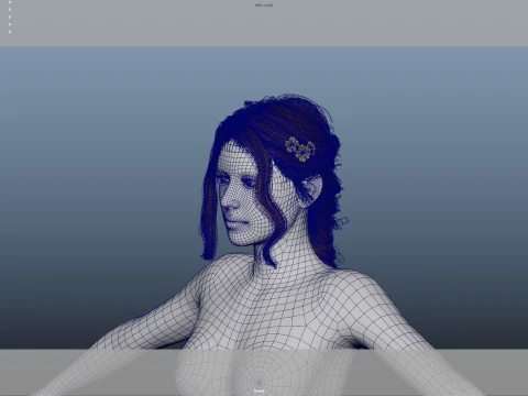 Female Hair 3D Model