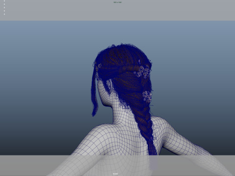 Female Hair Model 3D
