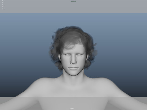 Realistic Male Hair Model 3D