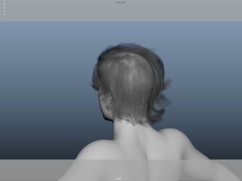 Realistic Male Hair Model 3D