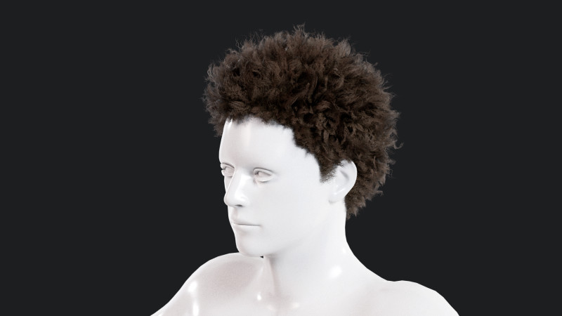 Realistic Male Hair Model 3D .c4d .max .obj .3ds .fbx .stl .blend 