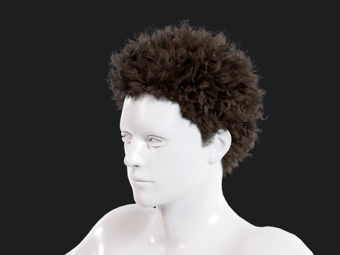 Realistic Male Hair 3Dモデル