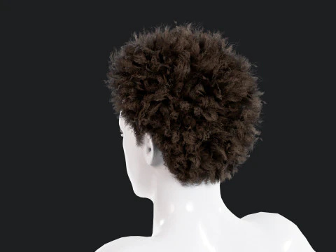 Realistic Male Hair 3D Model