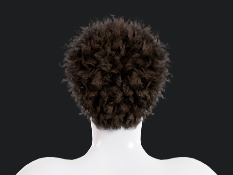 Realistic Male Hair Model 3D