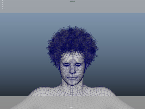 Realistic Male Hair Model 3D