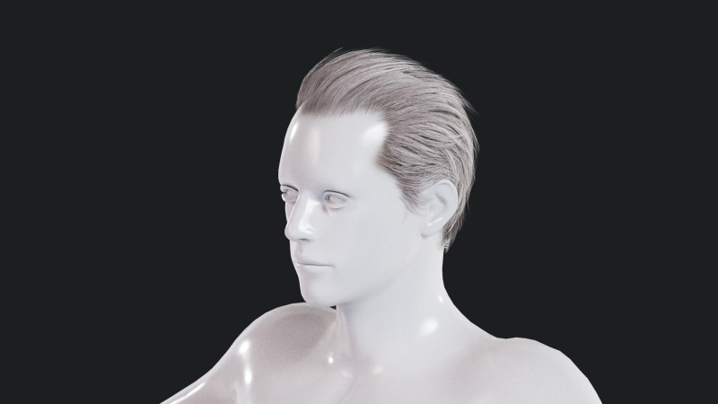 Realistic Male Hair 3D Model .c4d .max .obj .3ds .fbx .stl .blend 