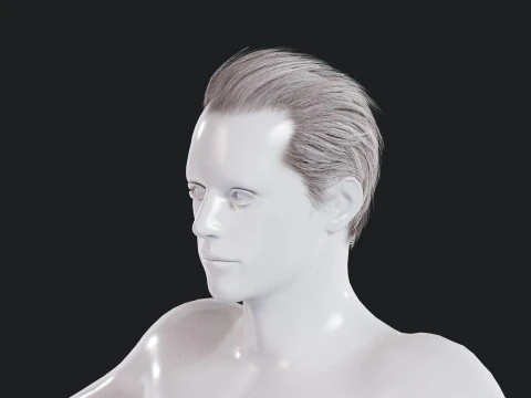 逼真的男性头发 3D 模型