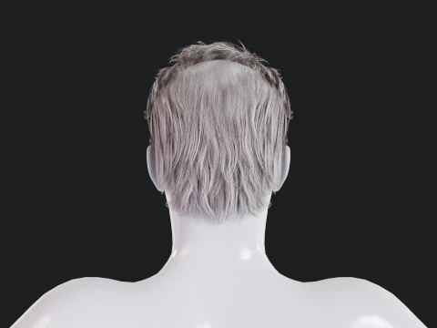 Realistic Male Hair 3D Model