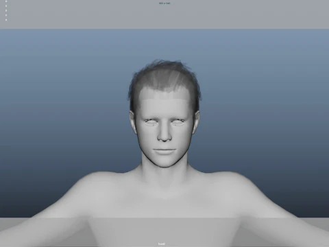 Realistic Male Hair 3D Model
