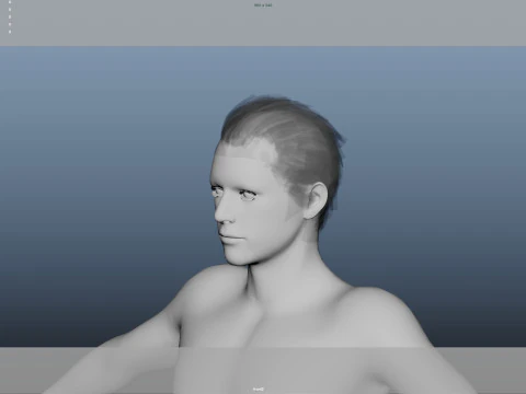 Realistic Male Hair 3D Model