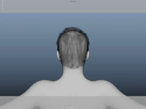 Realistic Male Hair 3D Model