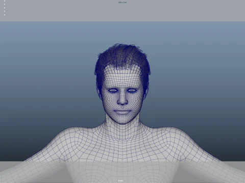 Realistic Male Hair 3D Model