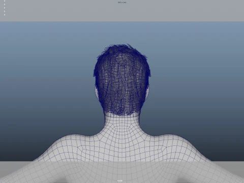 Realistic Male Hair 3D Model