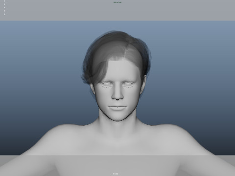 Realistic Male Hair 3D Модель