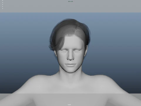 Realistic Male Hair 3D Model