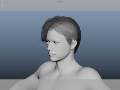 Realistic Male Hair 3D Модель