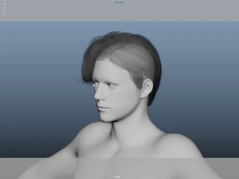 Realistic Male Hair 3D Model
