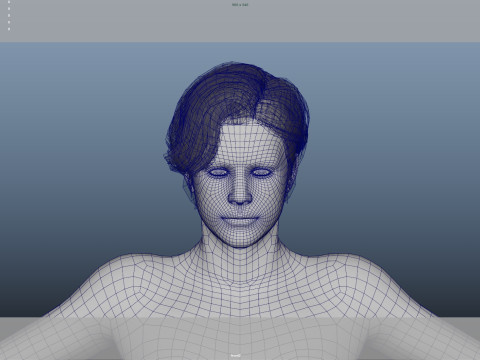 Realistic Male Hair 3D Модель