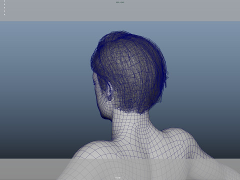 Realistic Male Hair 3D Модель