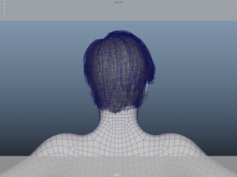 Realistic Male Hair 3D Модель