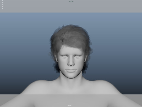 Realistic Male Hair 3D Model