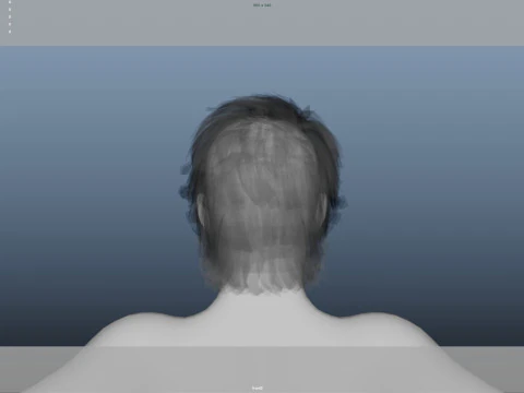 Realistic Male Hair 3D Model