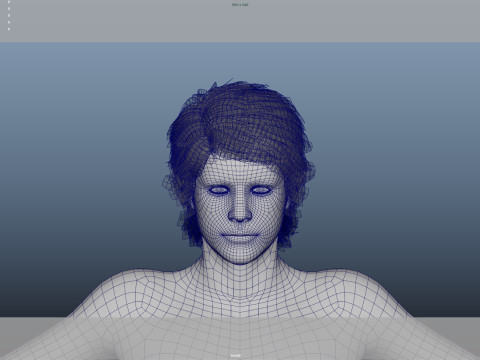 Realistic Male Hair 3D Model