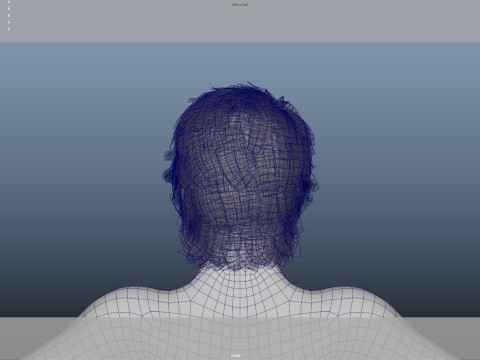 Realistic Male Hair 3D Model